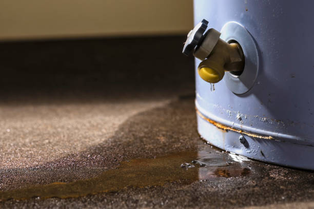 Best Sewage cleanup and water damage restoration  in Flint, MI