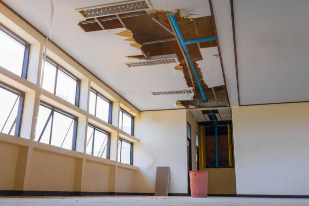 Best Water damage contractors near me  in Flint, MI