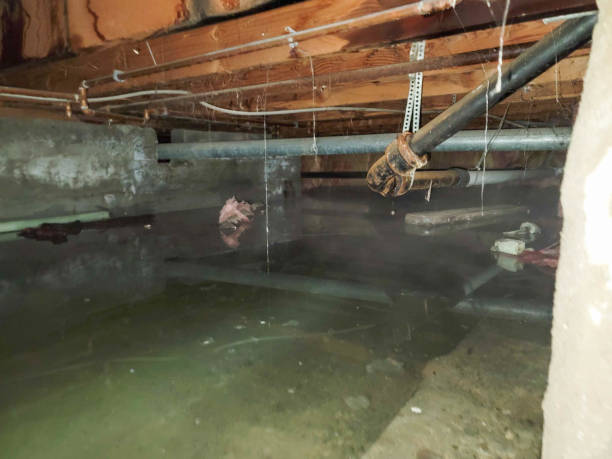Reliable Flint, MI Water damage restoration Solutions
