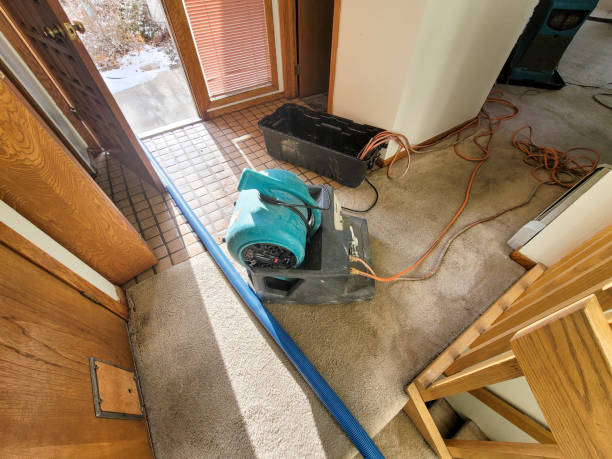 Best Sewage cleanup and water damage restoration  in Flint, MI