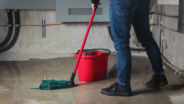 Best Carpet water damage restoration  in Flint, MI