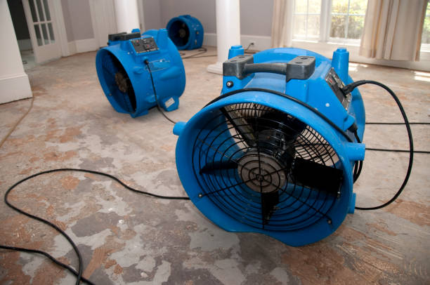 Best Professional water damage repair  in Flint, MI