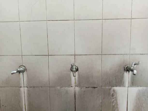 Best Ceiling water damage repair  in Flint, MI
