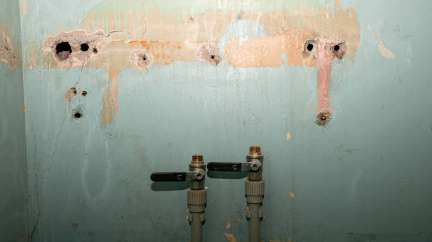 Best Local water damage restoration  in Flint, MI