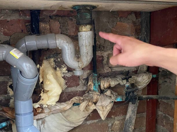Water damage restoration mold remediation in Flint, MI