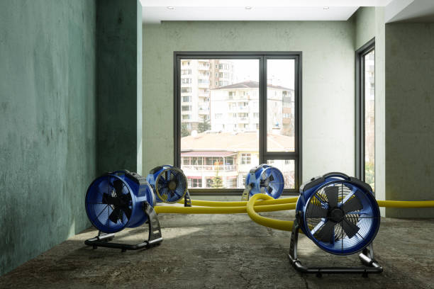 Best Water damage mitigation services  in Flint, MI