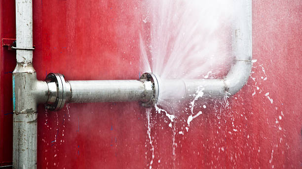 Best Flood damage cleanup  in Flint, MI