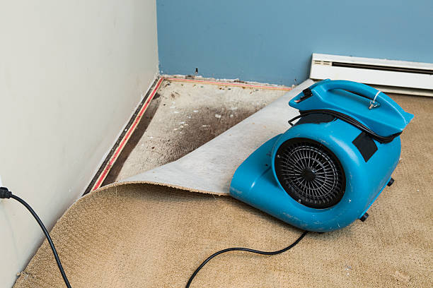 Best Water damage restoration specialists  in Flint, MI